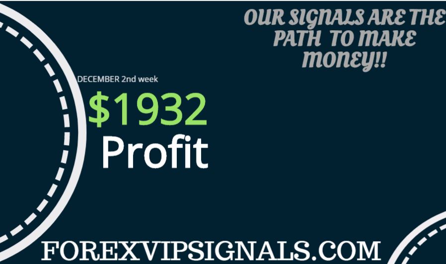 Real Forex Signals