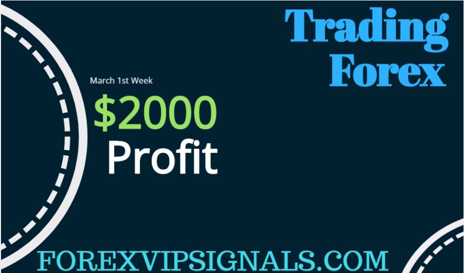 Forex Profit signals
