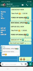 forex signals providers