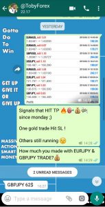 forex signals online