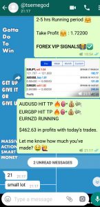 forex signals providers