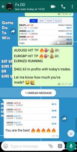 forex trading signals provider