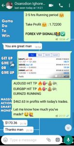 free forex signals