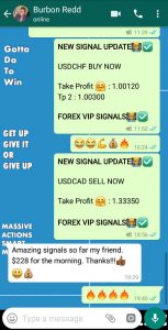 the best forex signals