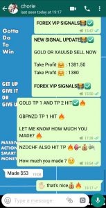 best forex signal provider in the world
