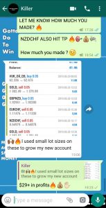 best forex signals review