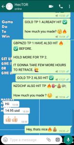 best free forex signals