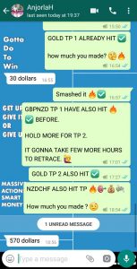 the best forex signals