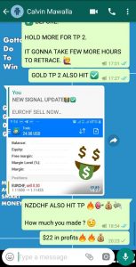 forex live trading signals