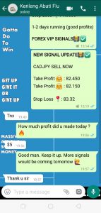 forex signals online