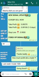 best forex signals