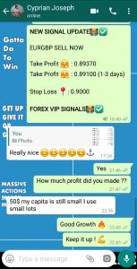 top forex signals