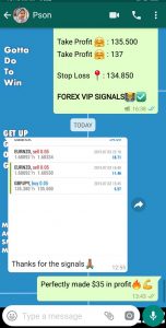 free forex signals live