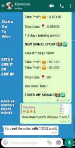 free forex signals