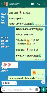How To Use Forex Vip Signals?