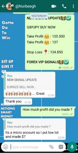 best forex signals