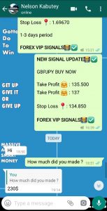 real time forex signals