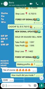 free forex signals