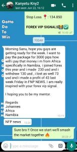How To Use Forex Vip Signals?
