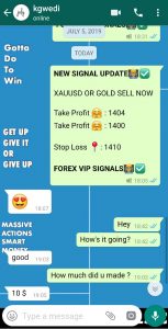 forex trading signals