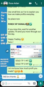 forex profit