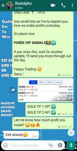 best forex signal provider