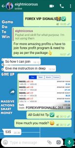 best forex signal provider