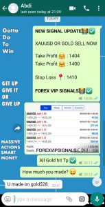 real time forex signals