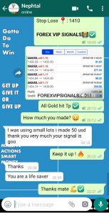 real time forex signals