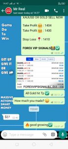 free forex signals live