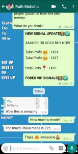 accurate forex signals with forex vip signals