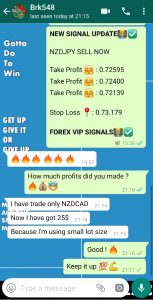 accurate forex signals with forex vip signals