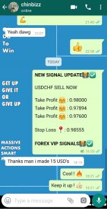 best forex signal provider with forex vip signals