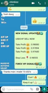 best forex signal provider with forex vip signals