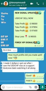 best forex signals with forex vip signals