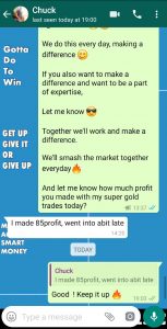 best forex signals telegram with forex vip signals