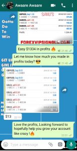 Best Forex Signals