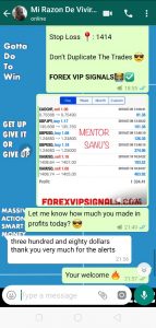 live forex signals