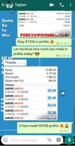 Free Forex Signals Provider