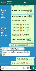 forex scalping signal with forex vip signals