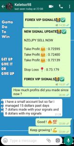 forex telegram signals with forex vip signals