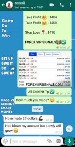 Accurate Forex Signals