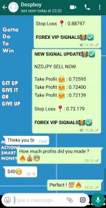 forex trading signals provider with forex vip signals