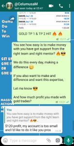 forex trading signals with forex vip signals