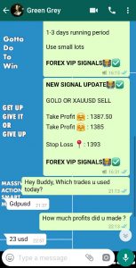 daily forex signals