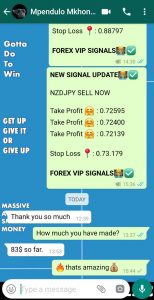 free forex signals live with forex vip signals