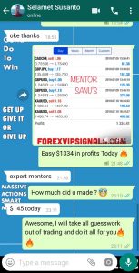 Best Forex Signals