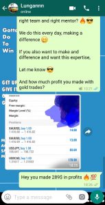 free forex trading signals daily by forex vip signals