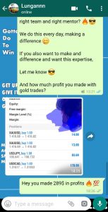 free forex trading signals daily by forex vip signals