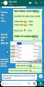 Best Forex Signals